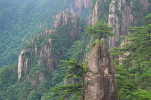 奇峰耸立的壮美山林景观