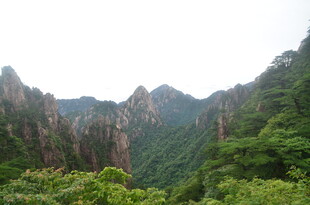 秀丽山峦间的葱郁景致