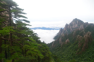 山峦绿意间云海缭绕