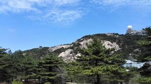 山巅松林与蓝天美景