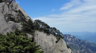 巍峨山峰与葱郁植被景观