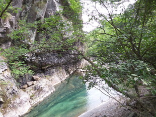 山间幽美清澈溪流景色