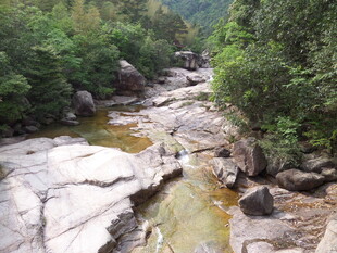 山间溪流 自然清幽之景