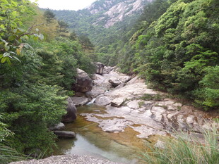 山间溪流 绿意盎然的景致