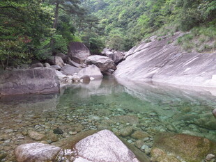 山间清潭 绿意环绕的美景