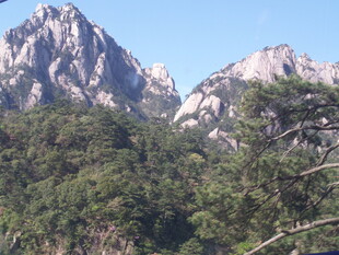 巍峨山峰与葱郁林木