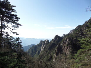 壮丽山景 葱郁山林