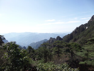 山间美景 绿意盎然的山峦