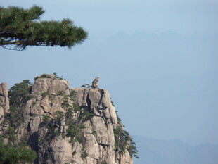 峻峭山峰上的孤松