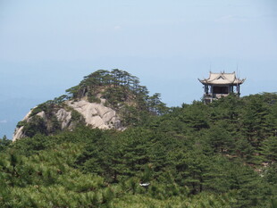 山巅古亭 绿意环绕之景