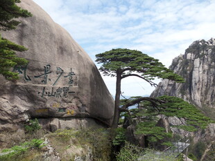 黄山奇峰劲松秀丽景致