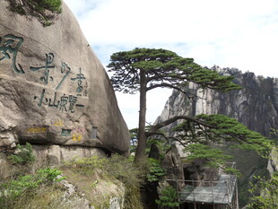 黄山奇峰与迎客松景观