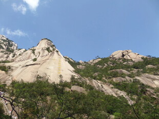 壮丽山景 岩石与绿植相映