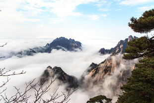 黄山云海壮美景观