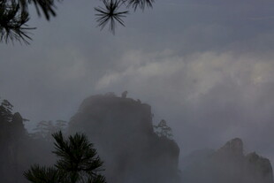 云雾缭绕的山林美景