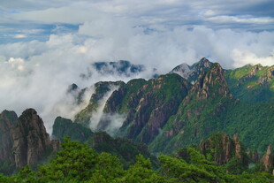 壮美云海环绕的秀丽山峰