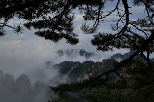 云雾缭绕中的山林景致