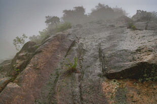 雾中险峻山石景观