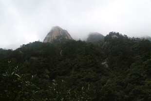 云雾缭绕的青山之巅