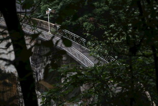 森林中的古朴木质吊桥