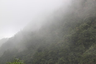 云雾缭绕的翠绿山峦