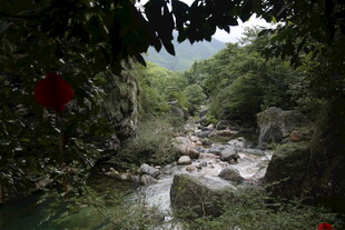 山间溪流 绿意盎然之景