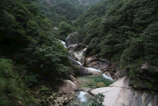 山间溪流穿林而过