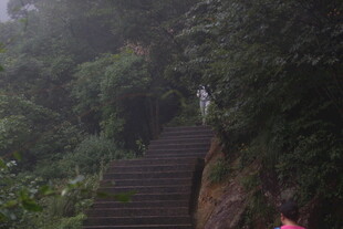 雾中幽径 山林石阶景致