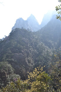青山巍峨 山林葱郁之景