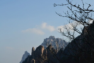 山巅枯树与壮美山峦