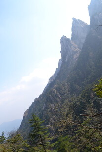 巍峨山峰与葱郁植被