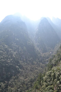 山间晨景 绿意盎然