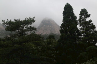 云雾缭绕中的山林景致