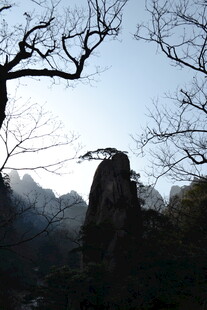 奇峰傲立的山林景观