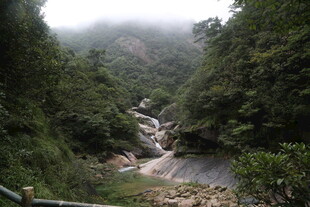 山间溪流云雾缭绕之景