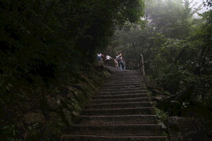 山林间的石阶徒步场景