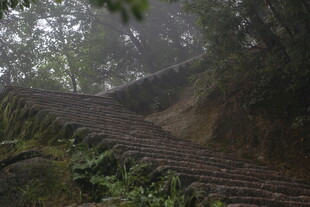 山林间的古朴石阶