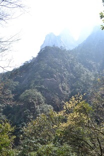 青山葱郁的秀丽山景