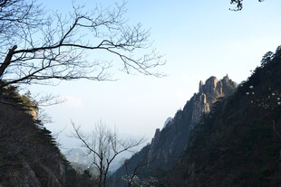 冬日山景 孤树飞鸟