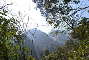 山林间的朦胧远景