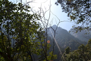 山林间的阳光穿透景象