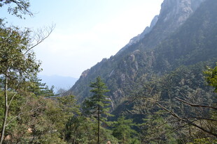 山林间的巍峨山峰景象