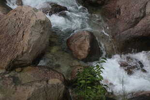 山间溪流穿石而过