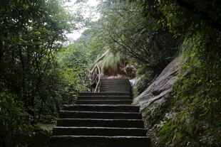 山林间的石阶步道