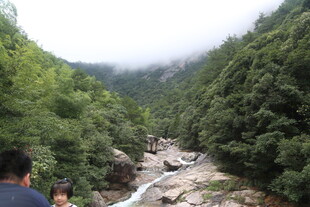 山间溪流旁的秀丽自然景