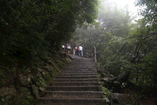 山林间的雾中石阶步道