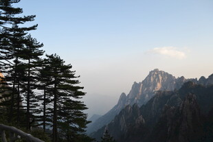 山间松林与巍峨山峰