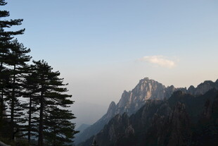巍峨山峰与挺拔松树景观