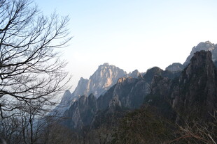 巍峨群山与枯树景观