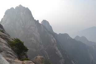 巍峨山峰上的孤树